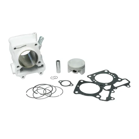 KIT CILINDRO MALOSSI DIAMETRO 61 | 3111588