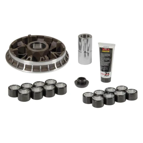 VARIATORE MULTVAR MALOSSI | 5117304