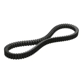 cinghia trasmissione malossi | 6118984