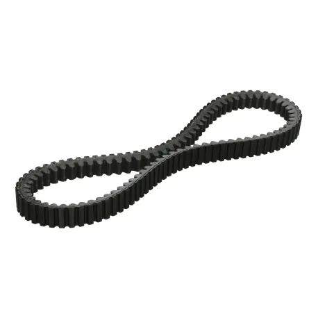 cinghia trasmissione malossi | 6118984