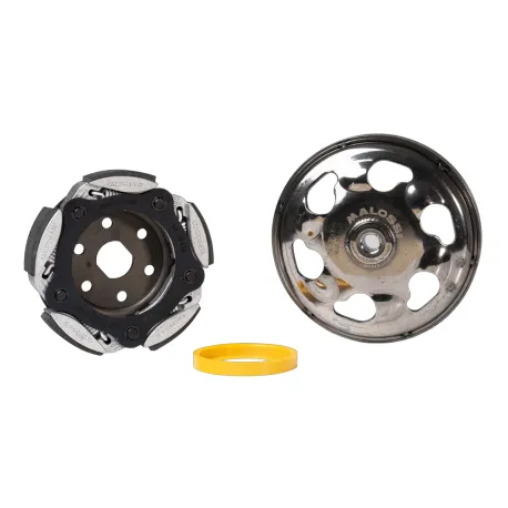 Campana e frizione malossi | 5219253