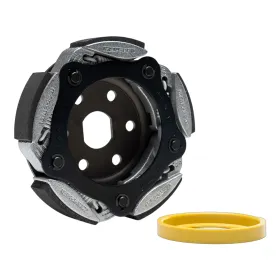 FRIZIONE MALOSSI D150 MALOSSI | 5218986