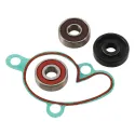 KIT REVISIONE POMPA ACQUA |  WPK0046