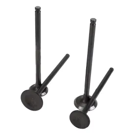 KIT VALVOLE ALBERO A CAMME HONDA | 038600K