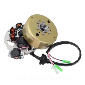 STATORE E VOLANO COMPLETO MOTORE MINARELLI VERTICALE 50 2T