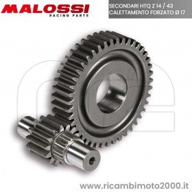 MALOSSI-679925