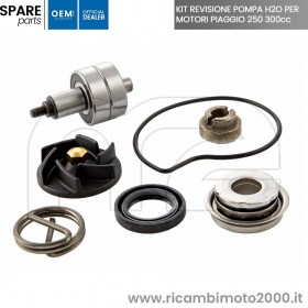KIT REVISIONE H2O 100110210